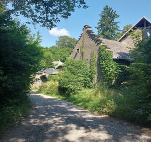 Entre les lacs de Laffrey - Laffrey - 4