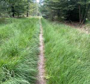 Slenk route (klotterpeel) - De Rips - 5