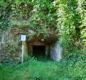 Balade à Champagné-Saint-Hilaire par les moulins - Champagné-Saint-Hilaire - 3