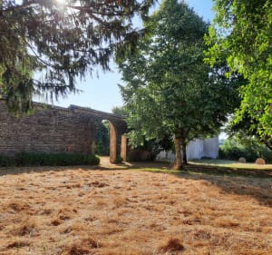 Balade à Champagné-Saint-Hilaire par les moulins - Champagné-Saint-Hilaire - 5