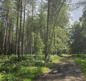 Parcours au départ du Parc Animalier de Roumare - Val-de-la-Haye - 4
