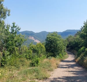 Sur les hauteurs de Lamalou/Pujol - Lamalou-les-Bains - 4