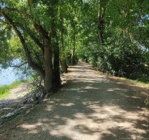 Les belvédères de La Piverdière - Bouchemaine - 3