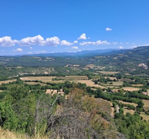 Boucle de Viens à Viens et Col des Quatre Chemins - Viens - 3