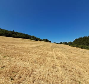 Boucle de Viens à Viens et Col des Quatre Chemins - Viens - 4