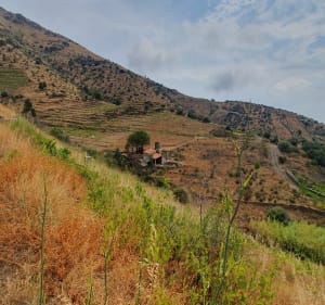 Direction Las Ocas puis vers la Soulade. - Cerbère - 3