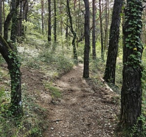 Sentier de Toine depuis Les Salles-sur-Verdon - Les Salles-sur-Verdon - 4