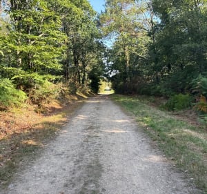 Balade entre routes et chemins à Kervignac - Kervignac - 3