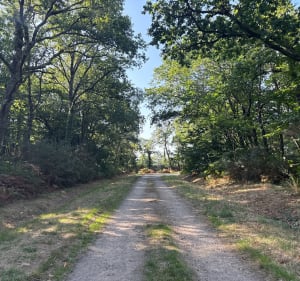 Balade entre routes et chemins à Kervignac - Kervignac - 5