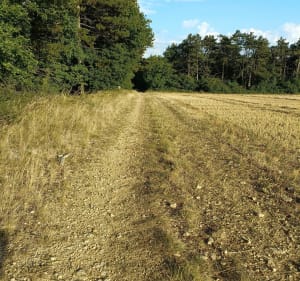 Balade sur les hauts de Cravant - Deux Rivières - 4