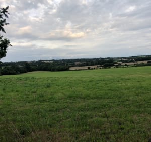 La Bazoque - Le Mesnil - La Bazoque - 3