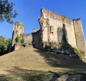 Château de Rauzan - delphine - 3