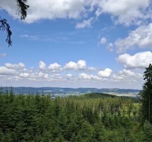 Wieza widokowa na Dzikowcu - Boguszów-Gorce - 3