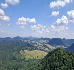 Wieza widokowa na Dzikowcu - Boguszów-Gorce - 4
