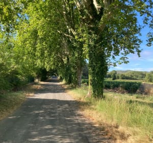 Pertuis à Lauris, une balade sur le plat - Martin - 2