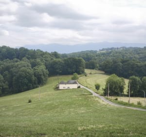 Marche Ferme Casau Bon - Monein - 3