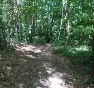 La Ferrière-sur-Risle, d'un coteau à l'autre - Ferrières-Saint-Hilaire - 4