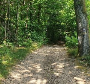 La route des chapelles Depuis Moissieu-sur-Dolon - Moissieu-sur-Dolon - 3