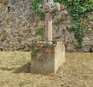 Vignes et forêts par Cornèze - FREDERIC - 2