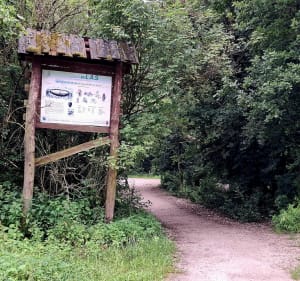 Targówek, Lasek Bielański, Kampinoska Dolina Wisły - Warszawa - 5