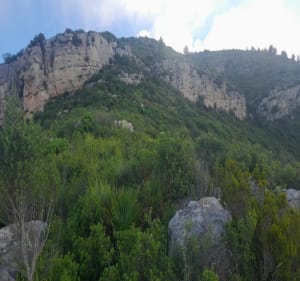 Roca-Roja en boucle - Les Cases d'Alcanar - 4