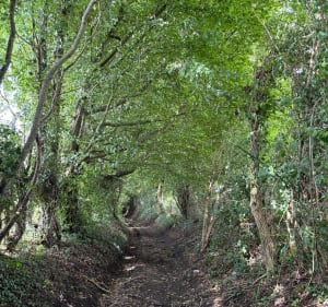 La randonnée de Mésangueville - Mésangueville - 4
