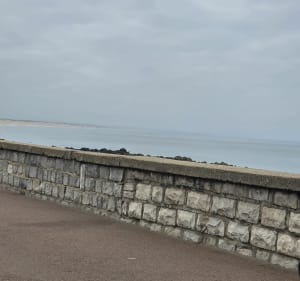 Piste cyclable de Bénesse-Maremne à Capbreton - Bénesse-Maremne - 4