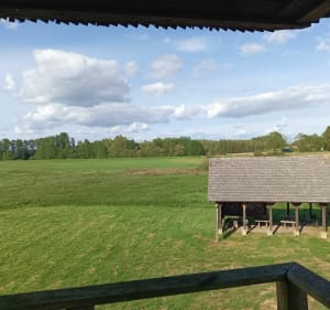 Z Białegostoku do Narwi i powrót nad stawy marczukowskie - Białystok - 3