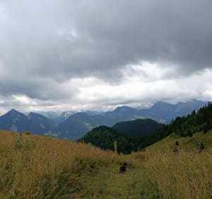 Petit tour des crêtes de Culées - Seytroux - 4