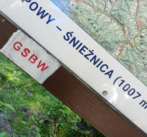 Odkryj Beskid Wyspowy Dobra Śnieżnica Kasina Wielka - Dobra - 4
