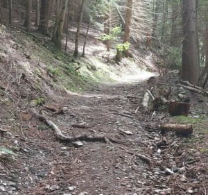 Sur le chemin de Broussous - Vebron - 3