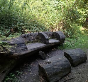 Randonnée le Hazois à Beugin - Beugin - 3