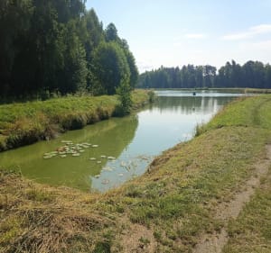 Rydułtowy - Kraków Dworzec PKP - Rydułtowy - 3