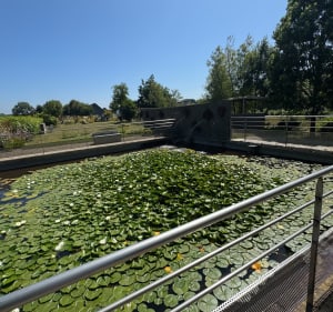 Le clos des fées depuis Malleville-les-Grès - Malleville-les-Grès - 3