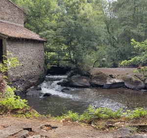 Superbe tour de St Laurent sur Sevre - Saint-Laurent-sur-Sèvre - 4