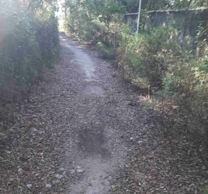 Balade tranquille à vélo, par Baillargues, Mauguio et Le Crès - Jacou - 3