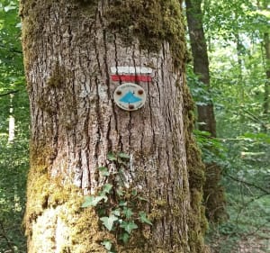 Balade en forêt de Valcongrain - Les Monts d'Aunay - 3