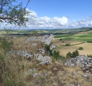 Balade sympa, environs La Rochepot - La Rochepot - 5