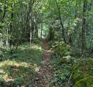 Sur les hauteurs de Chaux - Chaux - 4