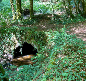 Rilhac-Rançon par le Doyonnet - Rilhac-Rancon - 5