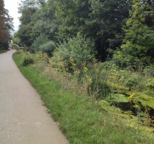 Petite balade au bois de Vincennes - Paris - 4
