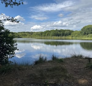Merentocht et Bains-les-Bains - Fontenoy-le-Château - 5