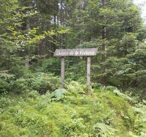 Du col des Feignes au haut du Mur - La Bresse - 3