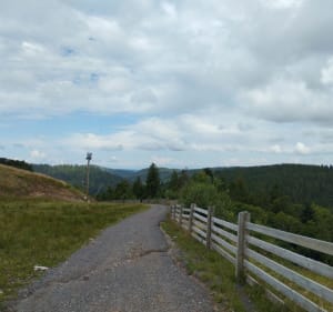 Du col des Feignes au haut du Mur - La Bresse - 4