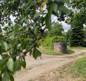 Circuit décrassage un peu Technique, la Bazoge, la Chapelle - La Bazoge - 5