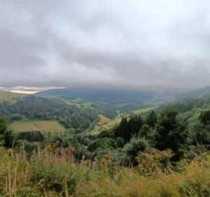 Circuit du col des Bagenelles depuis le col du Bonhomme - Plainfaing - 5