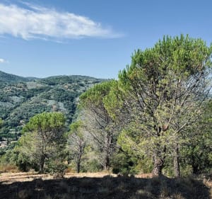 Petit tour du chemin de Peygros - Peymeinade - 3