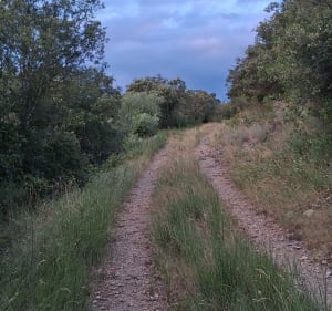 Le Vol de l'écureuil depuis Llauro - Llauro - 3
