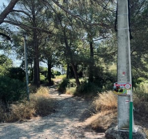 Petit tour du chemin de Peygros - Peymeinade - 4