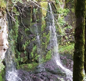 Cascades Biaguin - Le Falgoux - 3